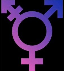 Gender & Spirit: a Mystical Perception of Gender by Ruby Ravelle
